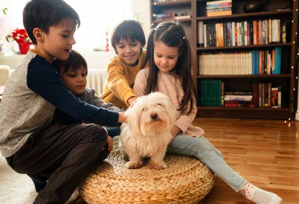 istock Children cuddle with their pet at home 1578380932
