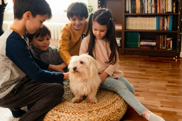 istock Children cuddle with their pet at home 1578381456
