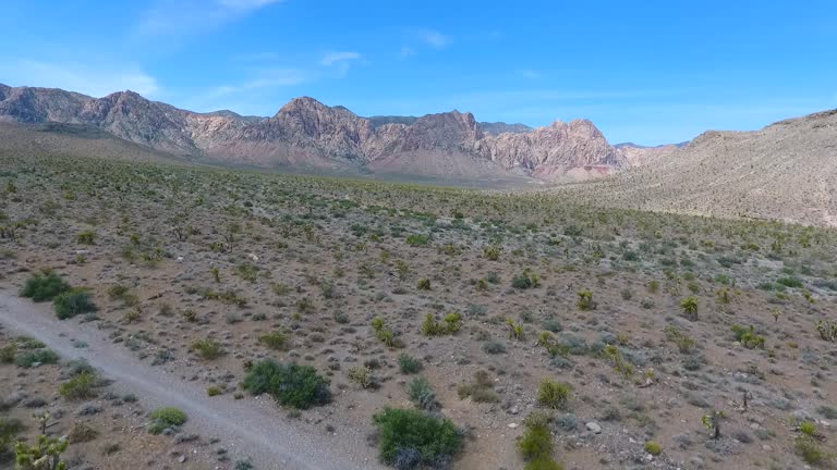 Drone over beautiful Nevada desert towards mountains