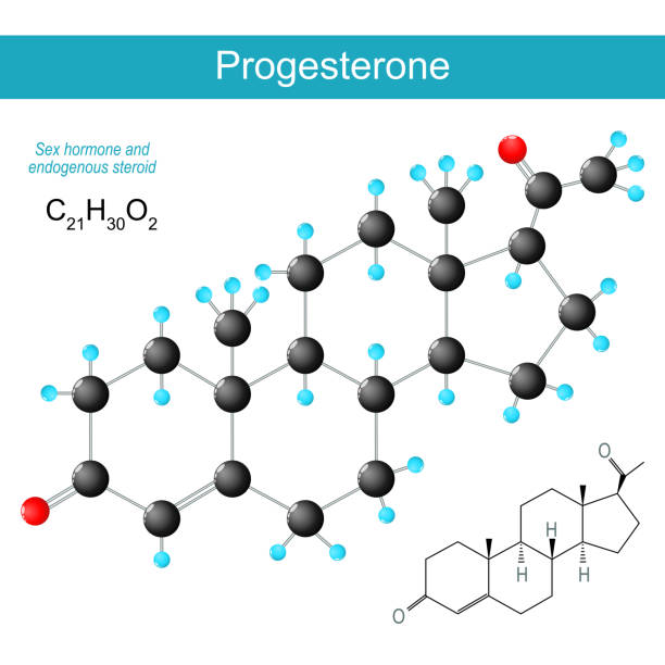 Progestageen 20+ Progestogen Stock Illustrations, Royalty-Free Vector Graphics ...