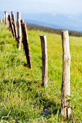 Stakes and wire fence in a rural area, Galicia, Spain.