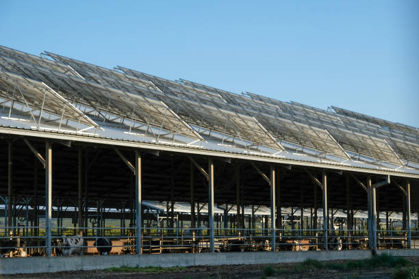 istock Solar panels agriculture farm roof 1578418485