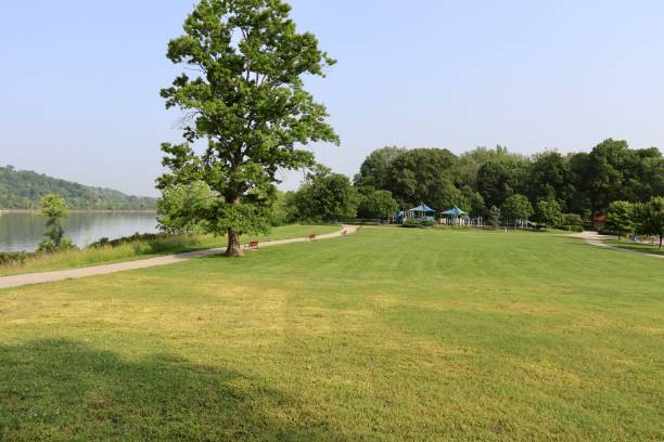 istock Country Park Landscape 1578446554