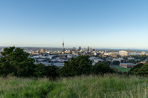 Auckland CBD view from top of mount eden