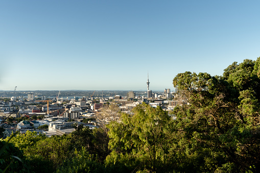 Auckland city view from mount eden