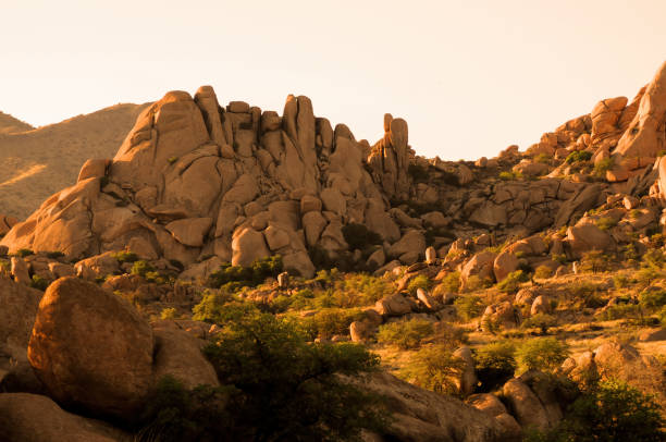 istock Texas Canyon Sonora Desert Arizona Sunset 1578478379