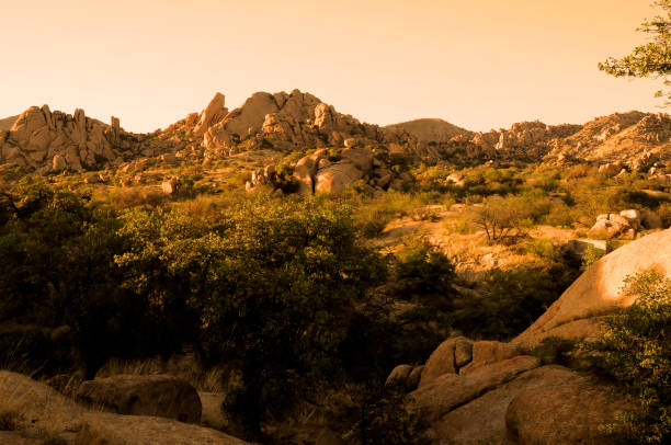 istock Texas Canyon Sonora Desert Arizona Sunset 1578478380
