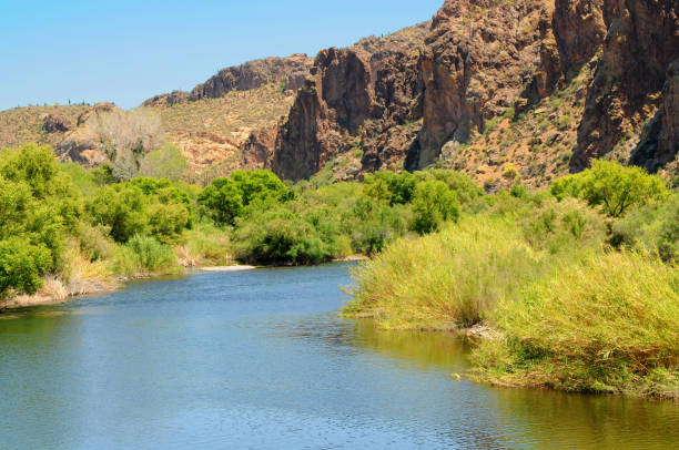istock Salt River Recreation Area Arizona 1578478410
