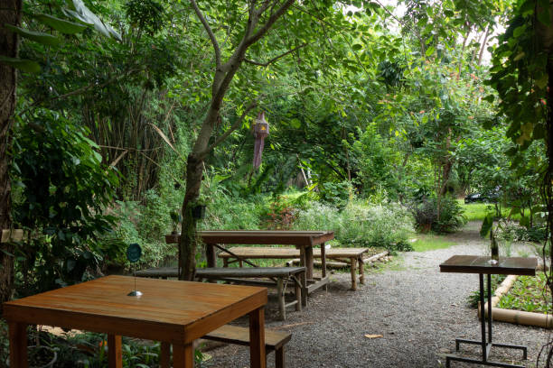 istock Wooden bench in the garden 1578538004
