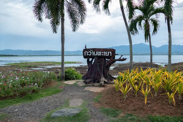 istock Phayao Lake in Northern Thailand 1578545438