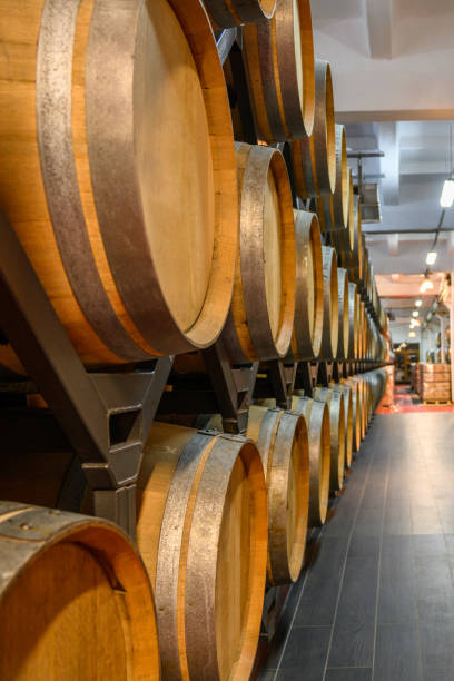 istock Modern winery cellar with wine wooden barrels and shops 1578545809