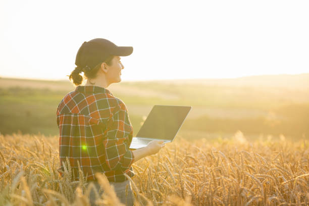 istock Farmer working with laptop on wheat field 1578549697