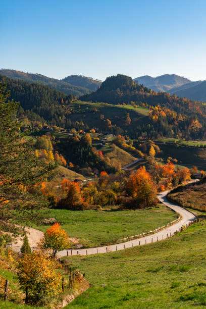 istock Autumn landscape  in mountains 1578551634