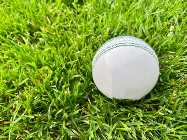 istock White leather cricket ball 1578551954