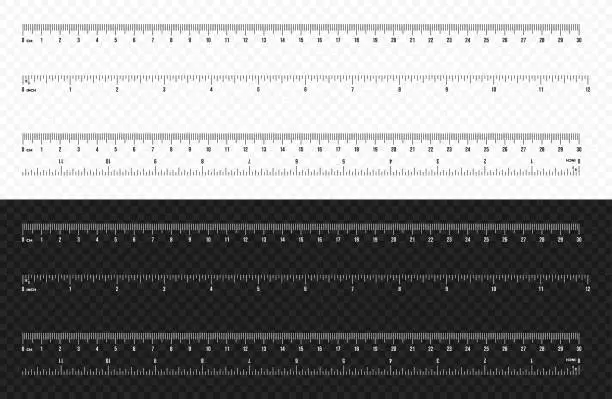 Vector illustration of Set of ruler scale 30 cm and 12 inch vector design. Centimeter and inch scale for measuring