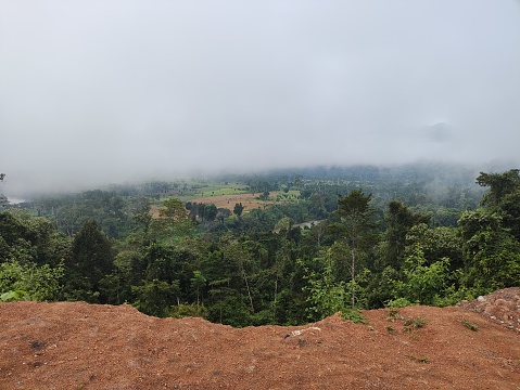 Forest and beautiful scenery of misty mountains in Bener Meriah, Aceh