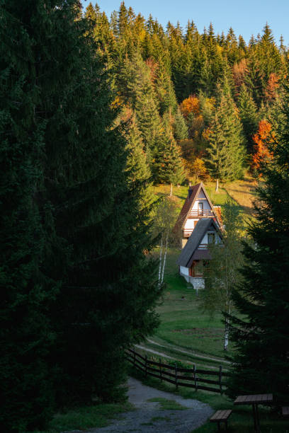 istock Landscape  in the autumn 1578557753