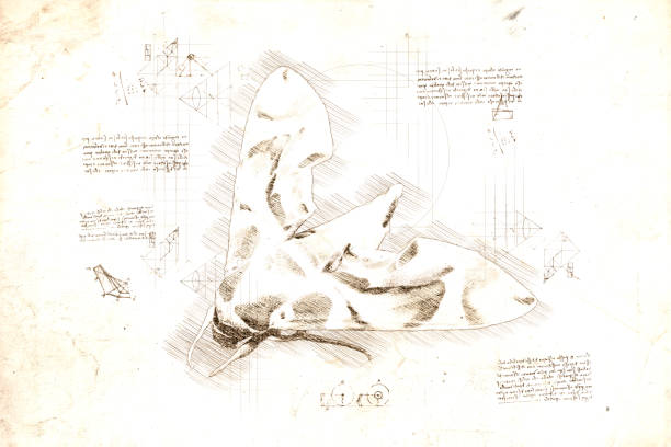 istock Sketch in da Vinci style of tropical moth 1578562161