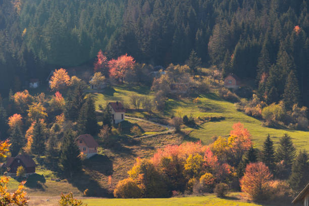 istock Autumn landscape  in mountains 1578564566