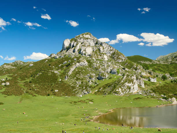 lago enol e dintorni - covadonga foto e immagini stock