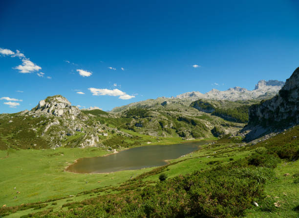 istock Enol lake and surrounding area 1578569227