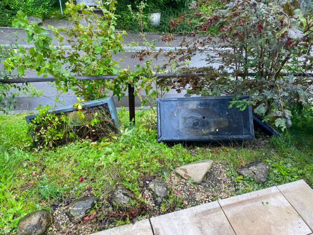 istock Two grey bush pots broken during heavy nightly storm at Swiss city. 1578569250