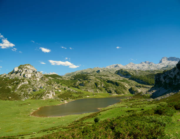 istock Enol lake and surrounding area 1578570302