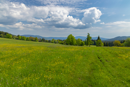 Typicallandscape near Modrava, Nation park Sumava, Czech Republic