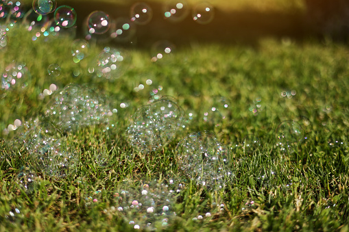 Colorful bright soap bubbles on summer natural green grass background in sunlight. Spring or summer holiday season. Symbol of happy childhood, purity, ecology
