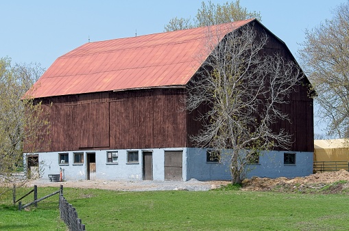 Awesome rural landscape of a farm, cows, fields, forest, perfect autumn scenery