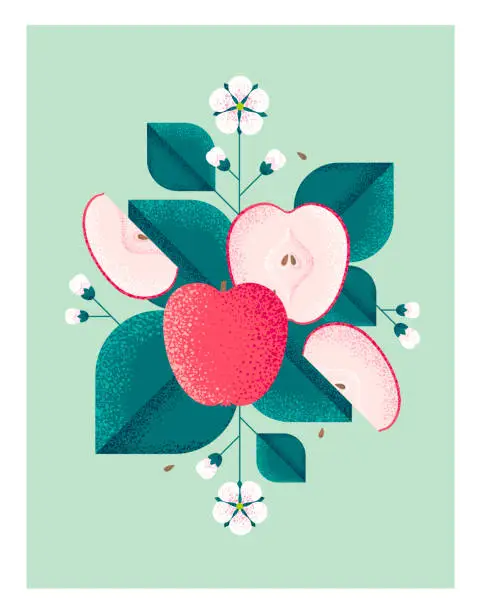 Vector illustration of Ripe red apples with leaves and flowers. Illustration with grain and noise texture.