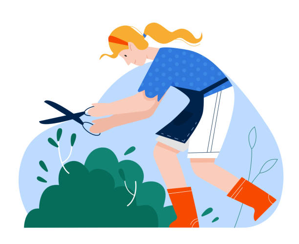 Farmer woman cutting bushes Farmer woman cutting bushes. Agriculture scissors, farming instruments vector illustration branch trimmers stock illustrations