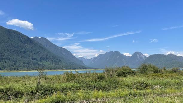 istock Pitt River Dyke in Pitt Meadows, British Columbia, Canada 1578757839