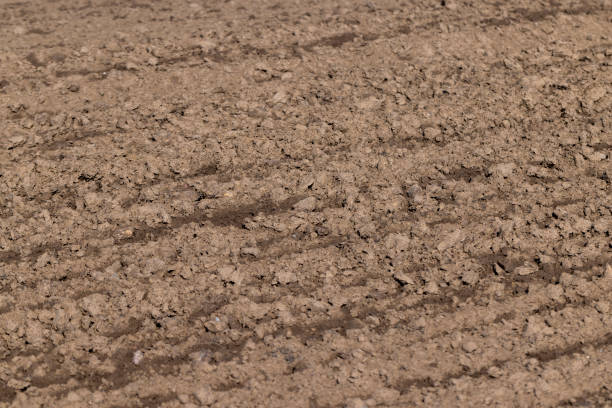istock the plowed soil during preparation for sowing agricultural plants 1578780476