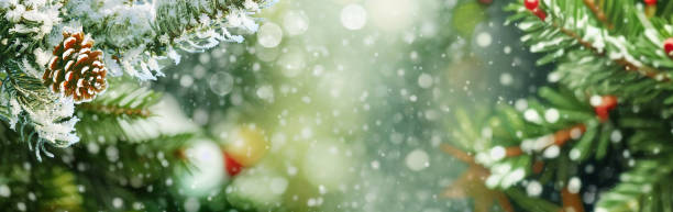 istock Green pine and spruce branches covered with snow and light falling snow is a beautiful background image. 1578820127