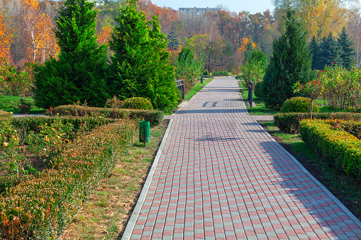 Pathway in the park with colorful autumn trees in the background . Walkway in fall season park