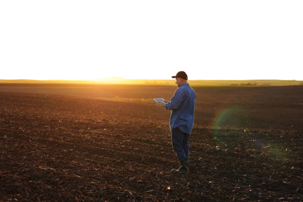 istock Smart farming technology and agriculture. Farmer uses digital tablet on field with plowed soil at sunset. Checking and control of soil quality, land readiness for sowing crops and planting vegetables 1578876555
