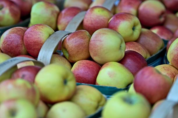 istock Fruits on Display at a Farmers Market 1578887697