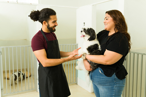 Latin woman talking to a happy man worker bringing her cute shih tzu dog to the pet hotel or daycare for a stay