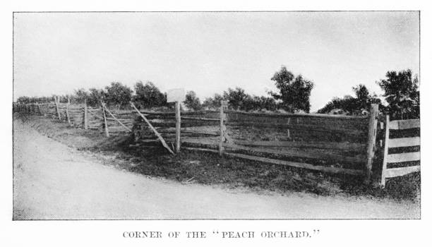 istock Peach Orchard at Gettysburg, Pennsylvania, Battle, American Civil War 1861-1865 1578973082