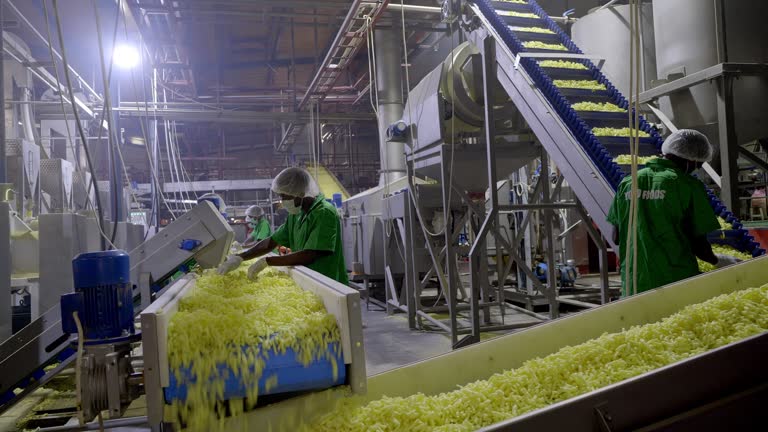 Group of food factory workers meticulously examines the corn snacks as they travel along the conveyor belt.
