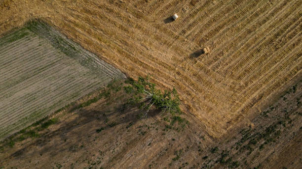 istock Aerial View of rural landscape 1579004920