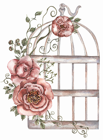 Hand painted watercolor rusty vintage bird cage with red roses flowers bouquet and green leaves branch. Provence style illustration. Weeding card invitation.