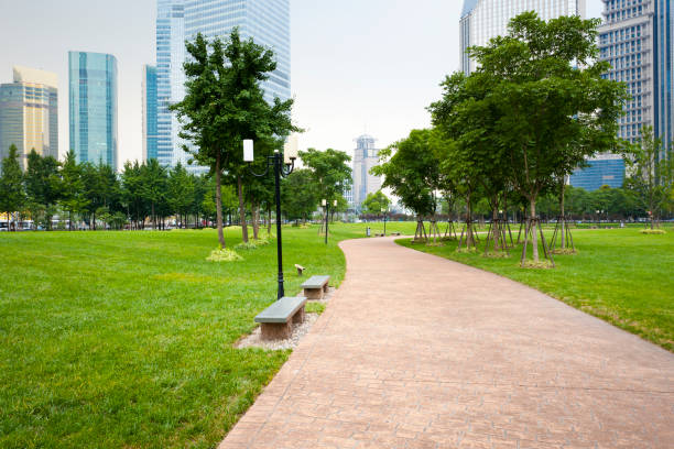 footpath footpath of lujiazui city park of shanghai china.adobe rgb 1998 use. elevated walkway stock pictures, royalty-free photos & images