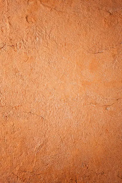 Terracotta background.