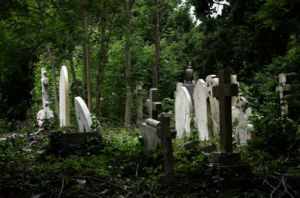 istock Creepy unkempt cemetery 157914050