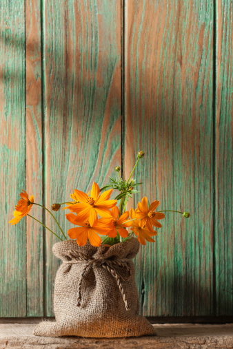 Colourful flowers in a burlap sack covered vase, in front of an old window shutter.