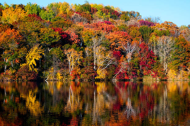 Vibrant Autumn Colors reflecting off the water stock photo
