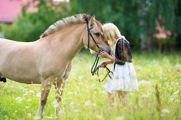 Teenage girl with her Fjord horse on the meadow.