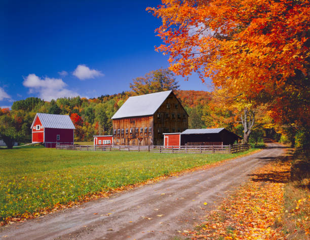 istock Autumn country side in Vermont 157914571